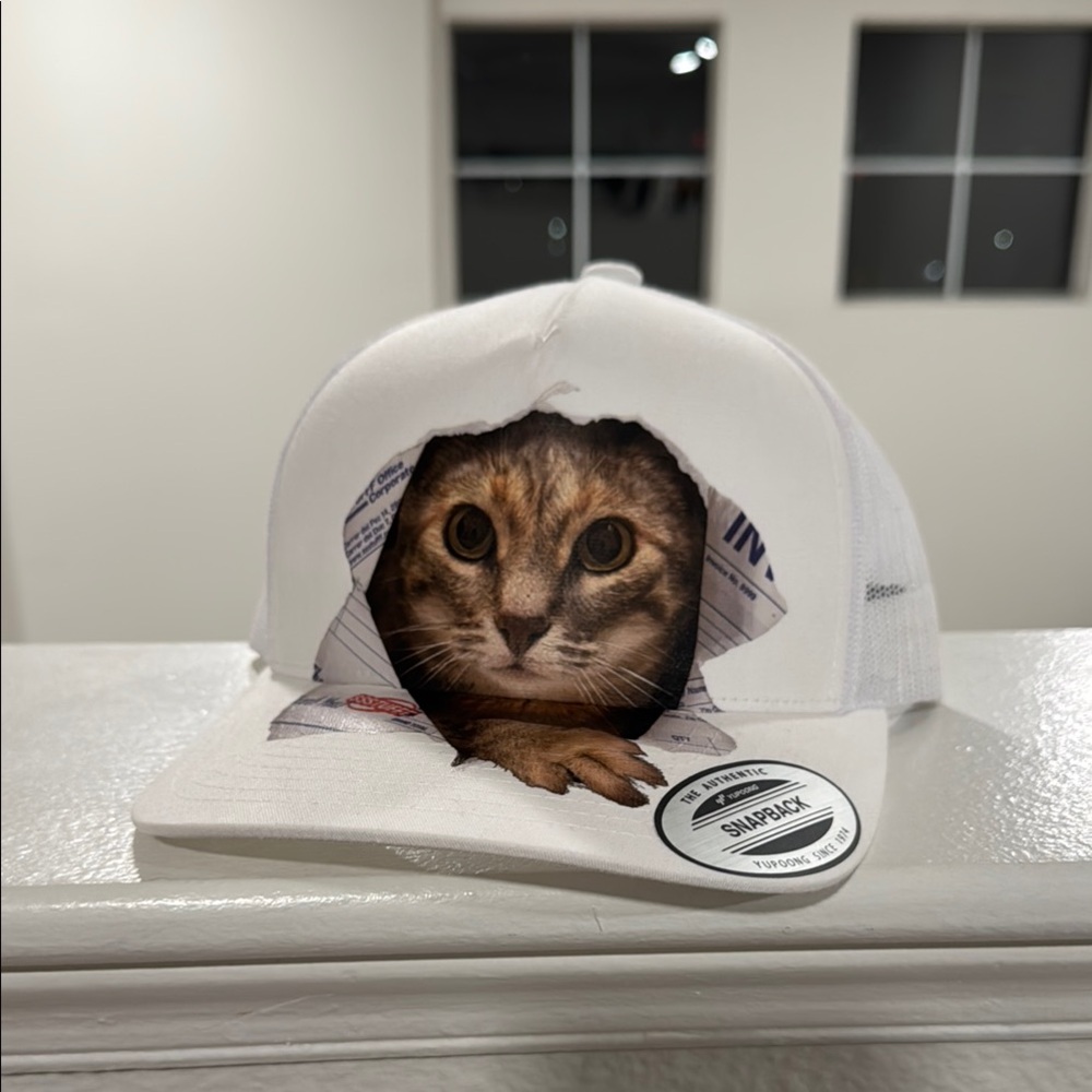 White Cat Clothing Accessory with Expressive Eyes ssstufff